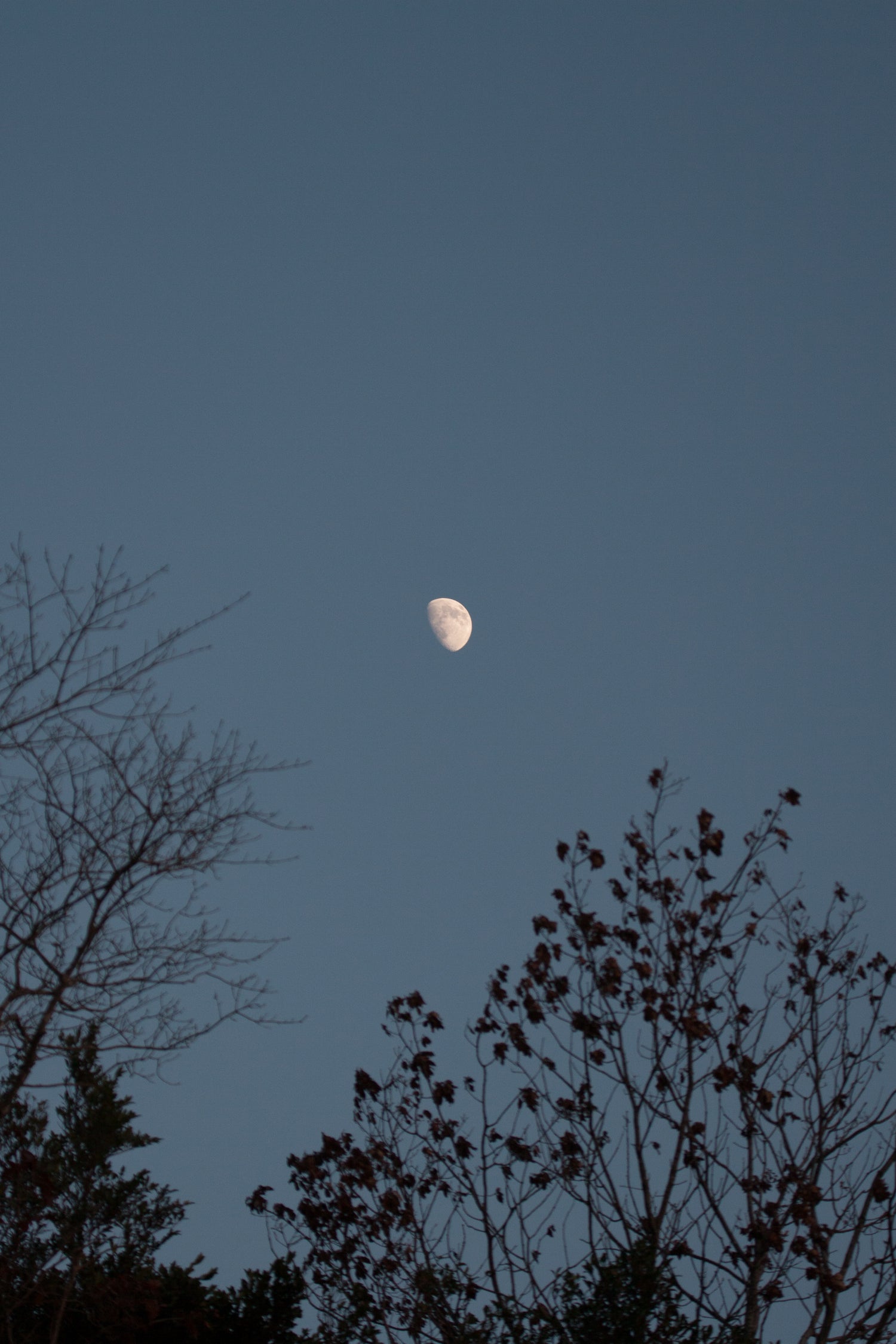 MCKKの名の由来を象徴する、夜空に浮かぶ欠けた月のイメージ