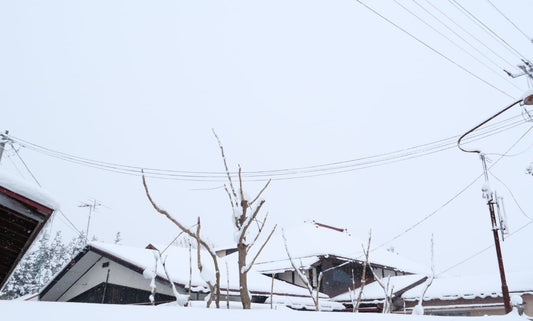 【遠い土地の暮らしを思う】酒蔵が感じる、冬の訪れについて。岩手・吾妻嶺酒造さんとのやりとり